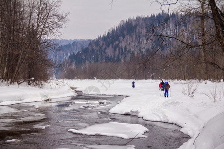 山脉森林和雪地的全景图片