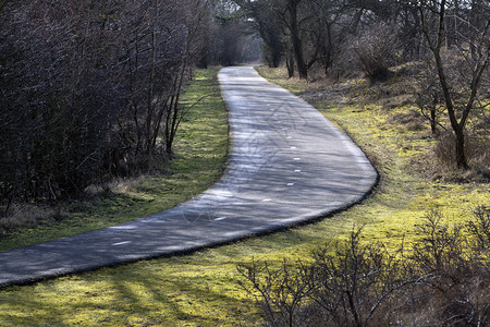 荷兰的乡村公路沥青图片