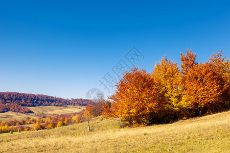 山谷多姿彩的风景和阳光灿烂的光束喀尔巴阡图片