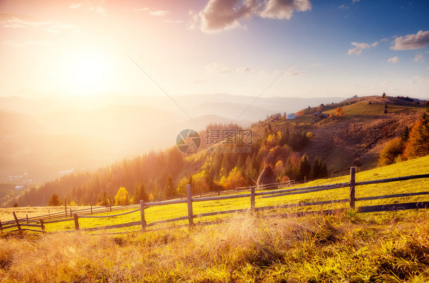 雄伟的多彩景观与山谷中阳光明媚的光束戏剧早晨场景红色和黄色的秋叶喀尔巴阡山脉图片