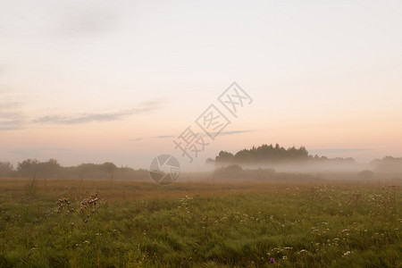 在清晨的草地上沿着雾霭旅行图片