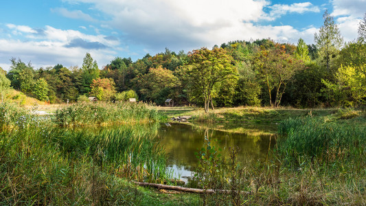 乌克兰利沃夫秋天初秋湖和公园的图片