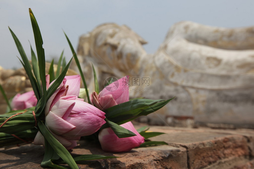 东南亚泰国Bangkok以北Ayutthaya市WatChaiwattanaram的古老石块布芽图片