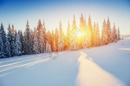 在山的美妙的冬天风景图片