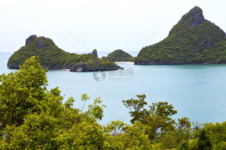 绿色环礁湖和南部树南海的岸线图片