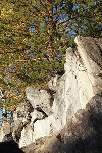 大理石悬崖上的森林大理石悬崖图片