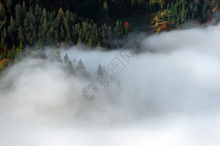 森林中卡帕提山的美丽秋景高清图片