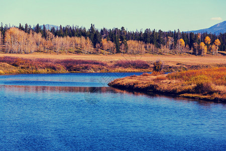 山中色彩斑斓的秋景图片