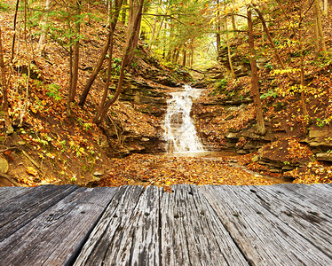 莱奇沃思州立公园瀑布的秋景图片