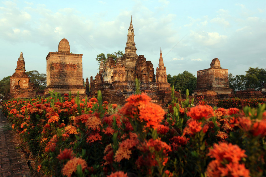 泰国曼谷北部素可泰省素可泰历史公园玛哈泰寺花坛图片