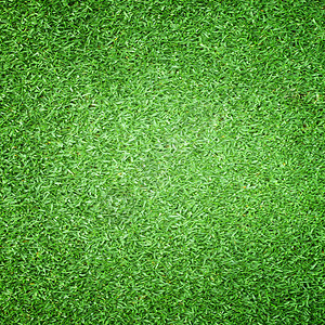 草坪高尔夫球场室外足球场背景纹图片