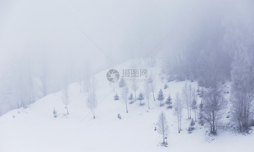 在山的冬天风景与新鲜的粉雪图片