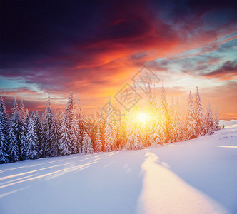 在山的美妙的冬天风景图片