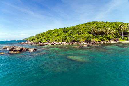 热带雨林岛屿海风棕图片