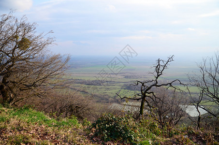 阿拉扎尼山谷葡萄园平原景图片