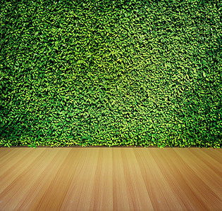 背景的绿叶墙和木地板图片