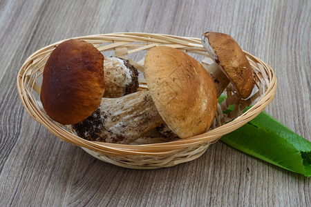 野生蘑菇在木材背景图片