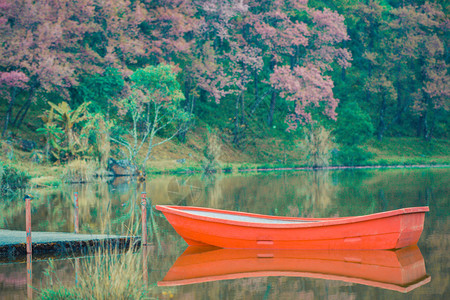 红船在湖边有反光树和野生喜马图片