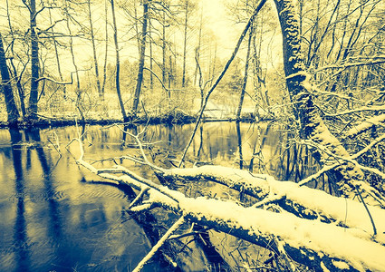 冬天在森林里的河流的老式照片美丽的冬季时间照片与图片