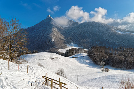 来自格鲁耶雷斯城堡的全景位于明天下雪覆盖的树木上以及背景中的瑞图片