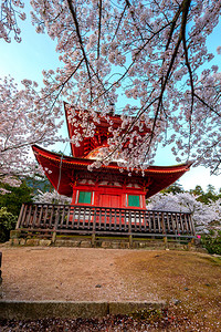 日本宫岛美景中的寺庙图片