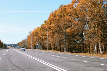 道路标记树图片