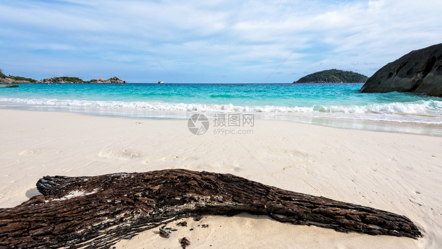 古老的浮木蓝海白沙和海浪在海滩上图片