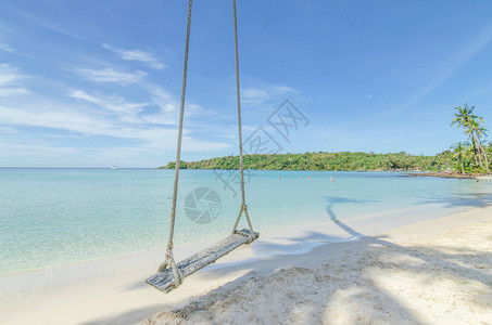 暑期旅行度假和日概念在泰国普吉海滩上摇摆椰子图片