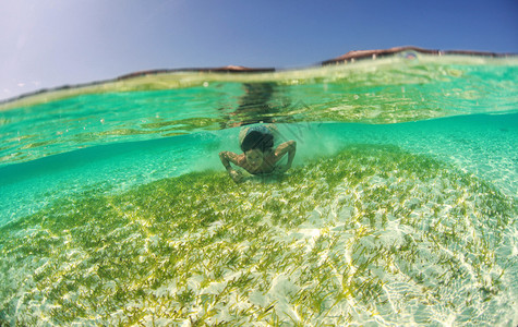 在马尔代夫群岛附近的海洋中穿衣潜水的图片