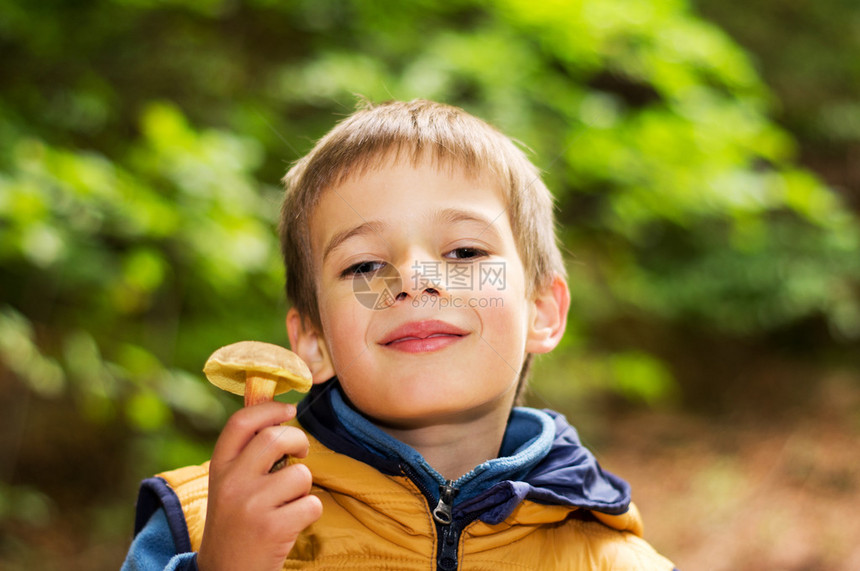 秋天森林里的小男孩用蘑菇图片