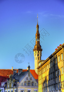 爱沙尼亚塔林历史中心Tallin图片