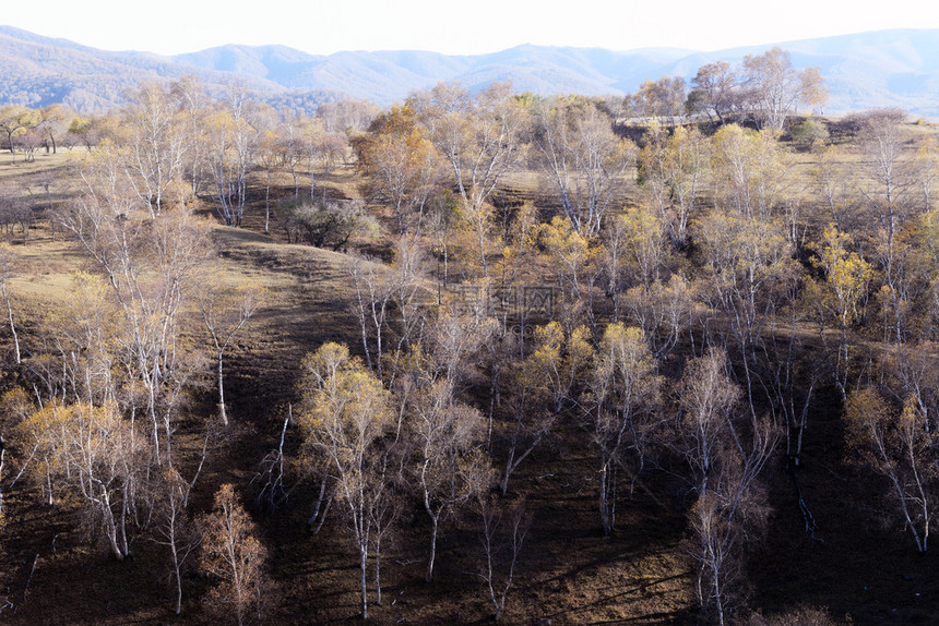 秋季内蒙古草原图片