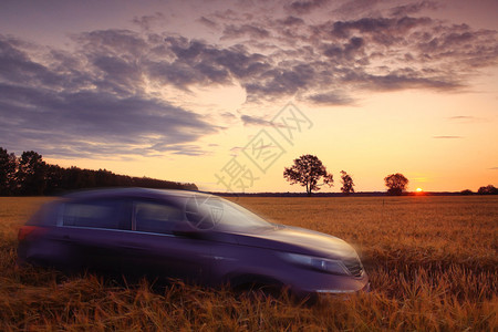 麦田夕阳下的SUV图片