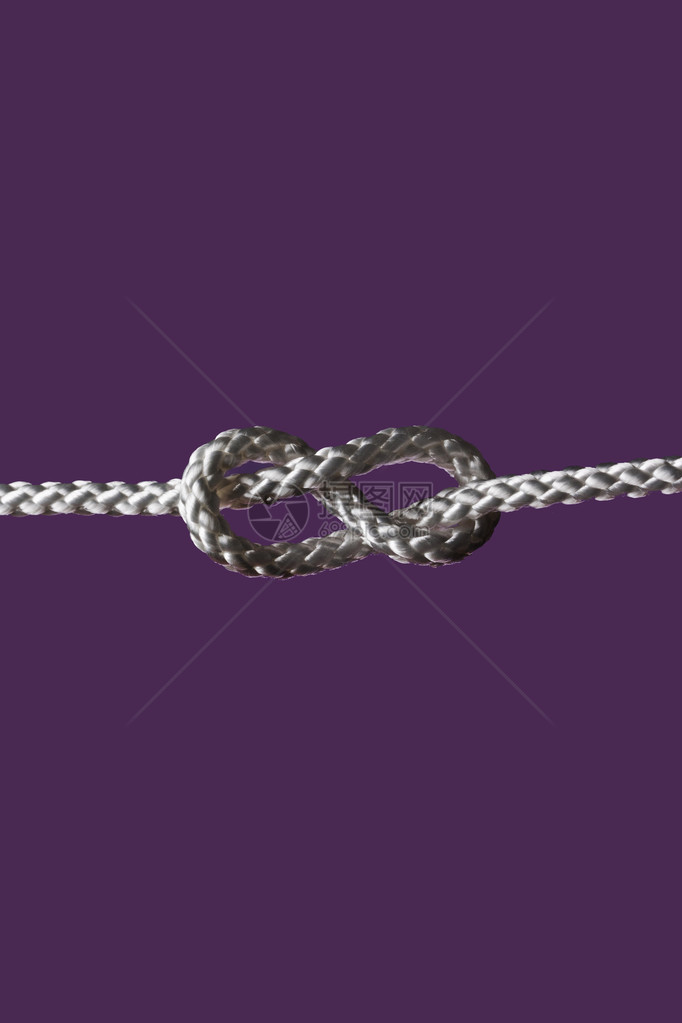 紫色背景上孤立的绳结图片