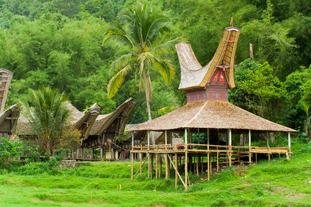 塔纳托拉哈木制的村庄高清图片