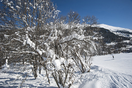 在高山度假胜地穿过树木的滑雪坡脚斜图片