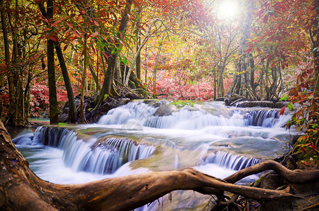 美丽的瀑布风景与秋天的森林图片