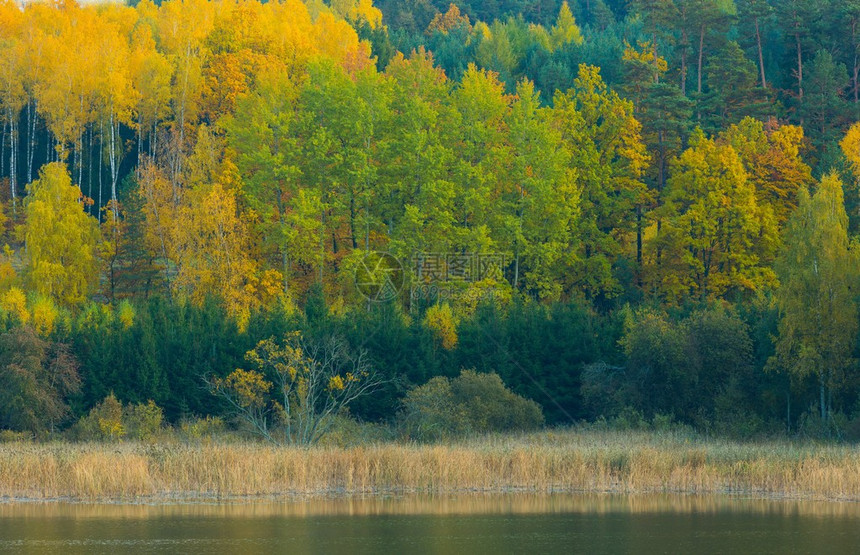 湖边的秋天景色很美图片