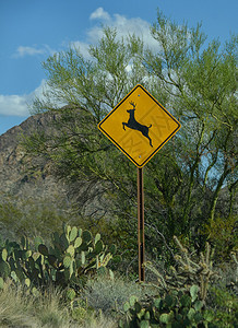 亚利桑那州沙漠中的鹿过境标志图片