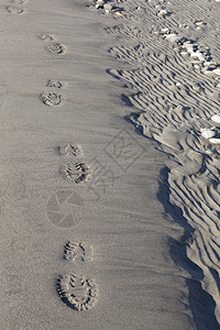 在沙滩上的引导轨道脚印图片