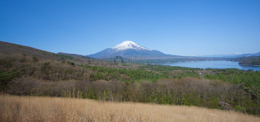 春季富士山和中湖图片