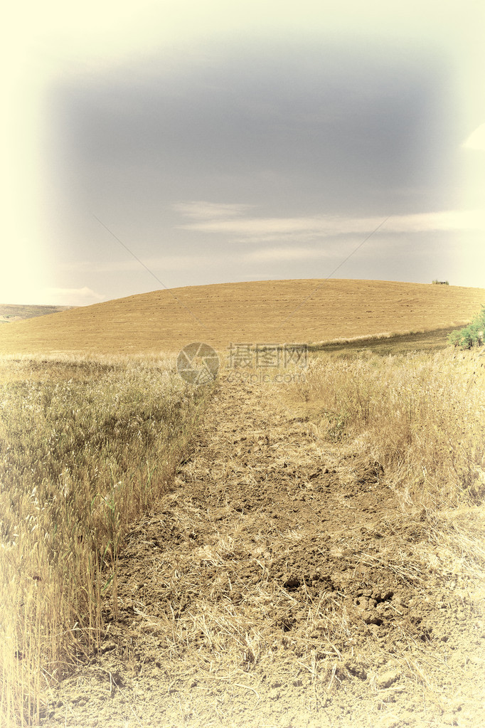 收割后西里山上的小麦田Retro图片