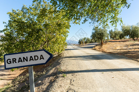 带橄榄树和远处山丘的干土路旁的干灰道路边上的格拉图片