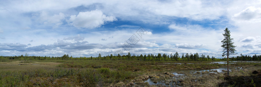 芬兰北部的风景背景图片