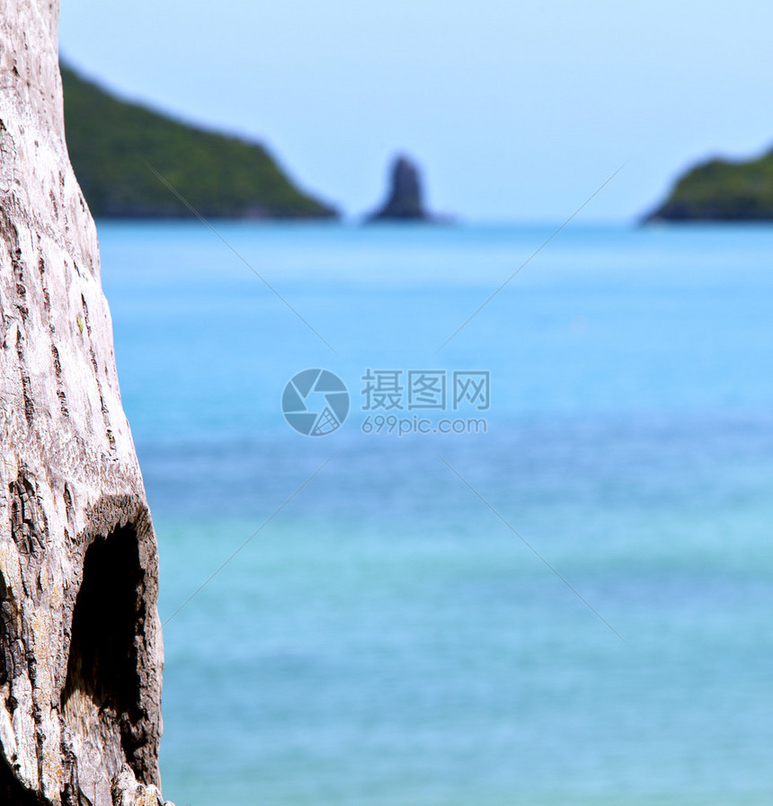 白沙滩海湾和南海的白边树石北图片