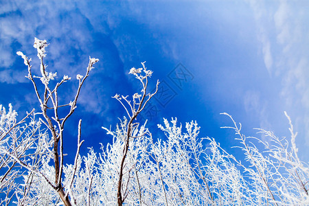 寒冷蓝色冬季天空图片