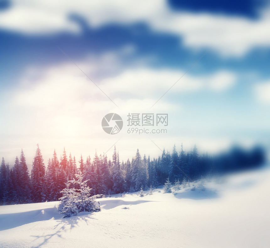 美丽的冬季全景与白雪覆盖的树木复古风格的过滤器Instagram色调效果倾斜图片