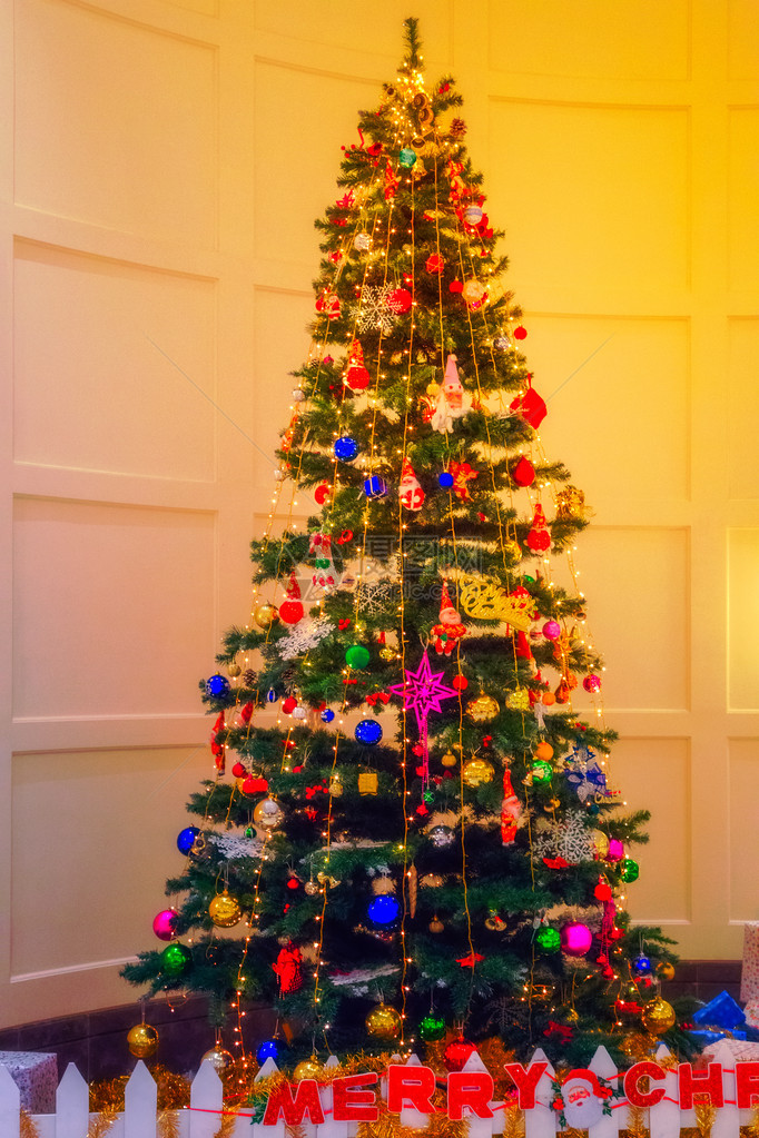 室内装饰圣诞树的图片