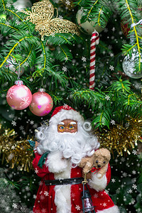 圣诞背景与圣诞树装饰图片