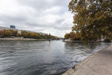 巴黎中部的塞纳河岸在秋季秋季法图片